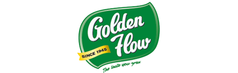 Golden Flow